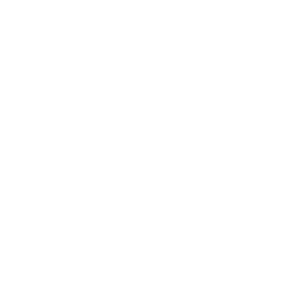 AYBL In house developmental basketball league.